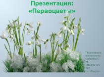 Презентация по экологическому воспитанию: Первоцветы