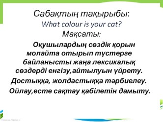 What colour is your cat? (5 form)