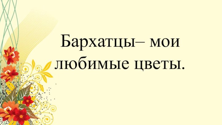 Бархатцы– мои любимые цветы.