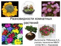 Презентация по технологии на темуРазновидности комнатных растений