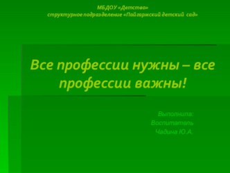 Презентация к занятию Все профессии важны, все профессии нужны (старшая разновозрастная группа)