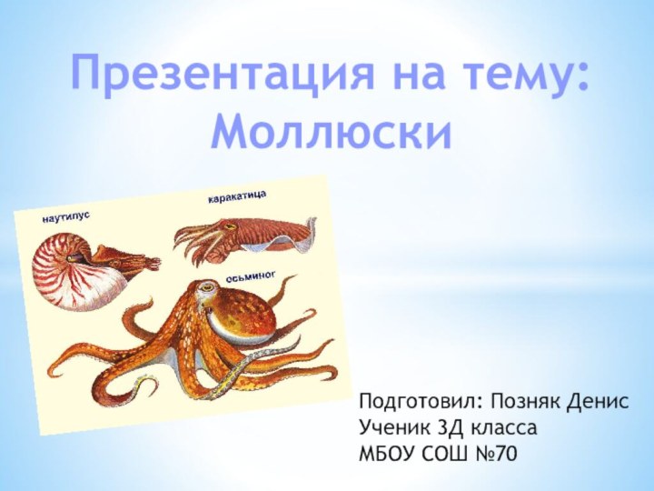 Презентация на тему: МоллюскиПодготовил: Позняк ДенисУченик 3Д класса МБОУ СОШ №70