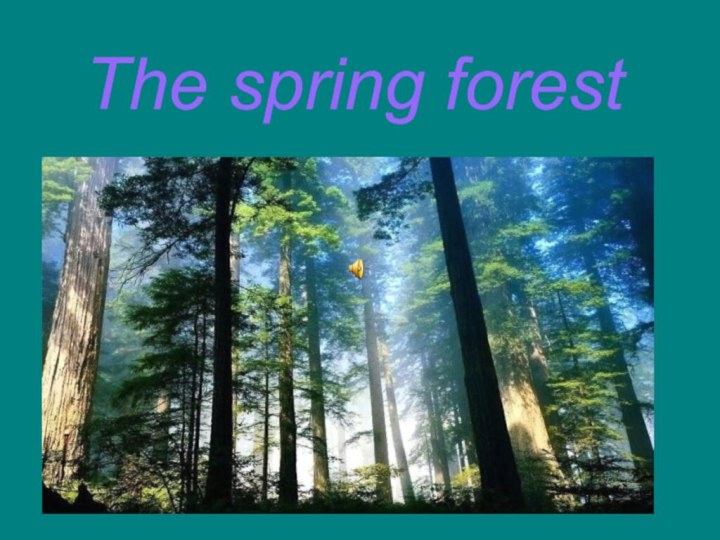 The spring forest