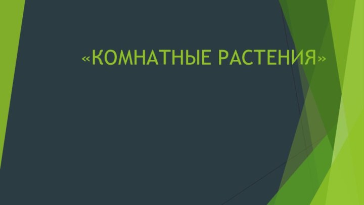 «КОМНАТНЫЕ РАСТЕНИЯ»