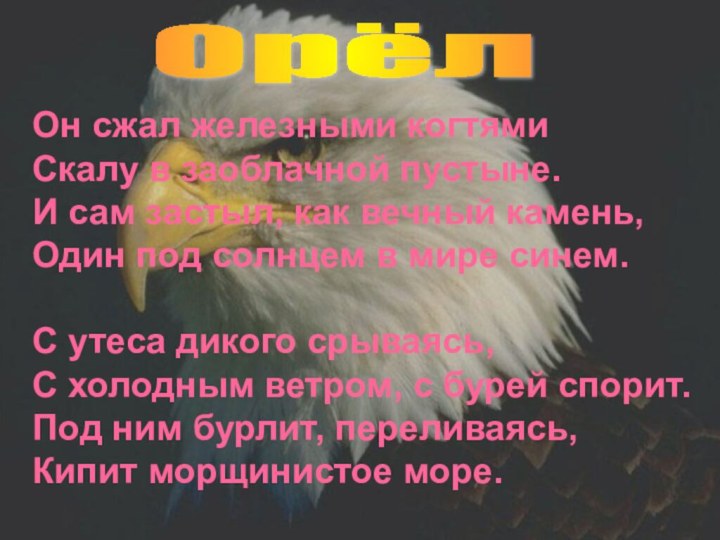 Он сжал железными когтямиСкалу в заоблачной пустыне.И сам застыл, как вечный камень,Один