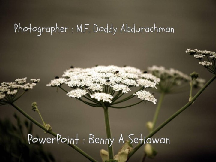 Photographer : M.F. Doddy AbdurachmanPowerPoint : Benny A Setiawan