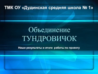 Результаты работы в рамках грантового проекта Объединение ТУНДРОВИЧОК