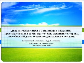 Дидактические игры в организации предметно - пространственной среды как условие развития сенсорных способностей детей младшего дошкольного возраста