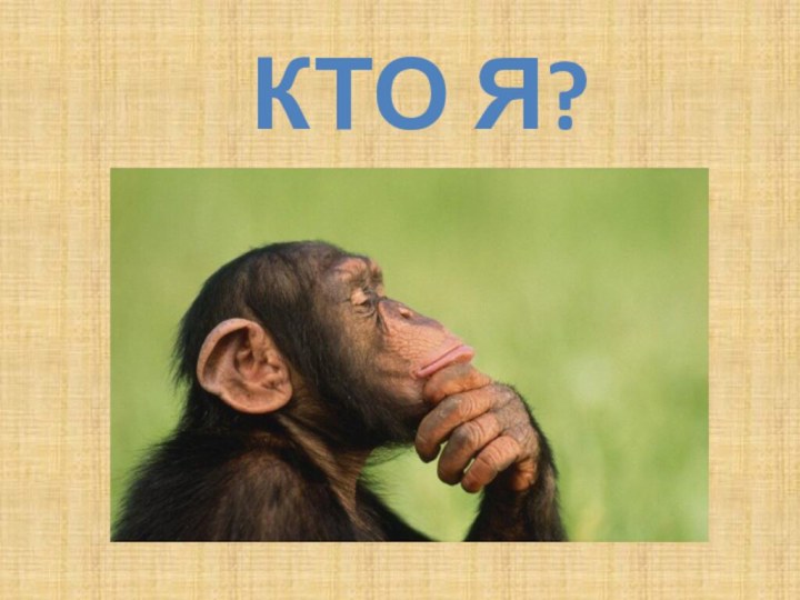 КТО Я?