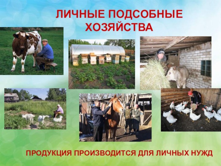 ЛИЧНЫЕ ПОДСОБНЫЕ ХОЗЯЙСТВАПРОДУКЦИЯ ПРОИЗВОДИТСЯ ДЛЯ ЛИЧНЫХ НУЖД