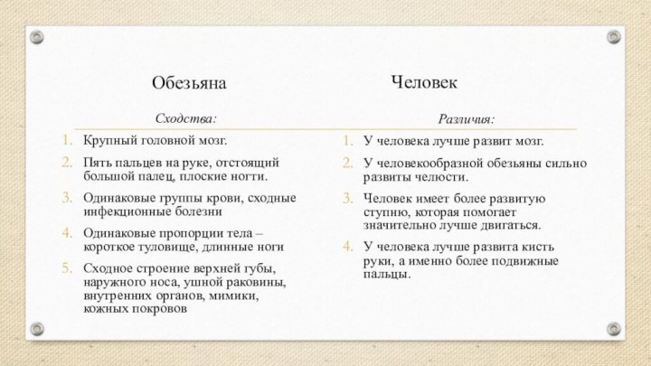 ОбезьянаСходства:Крупный головной мозг.Пять пальцев на руке, отстоящий большой палец, плоские ногти.Одинаковые группы