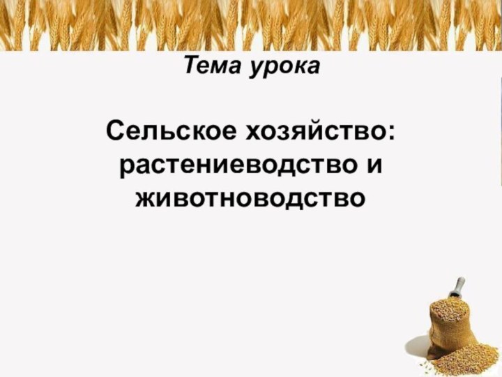 Тема урока  Сельское хозяйство: растениеводство и животноводство