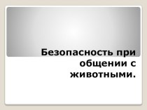 Безопасность при общении с животными.