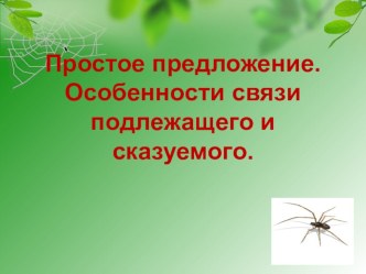 Презентация Особенности связи подлежащего и сказуемого в предложении 8 класс