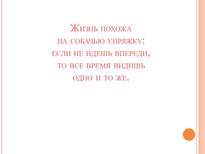 Жизнь похожа  на собачью упряжку:  если не идешь впереди,