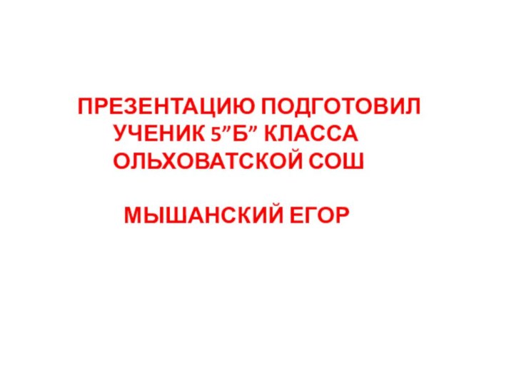 Презентацию подготовил