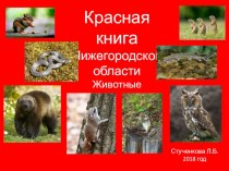 Презентация по окружающему миру на тему Красная книга Нижегородской области. Животные (2 класс)
