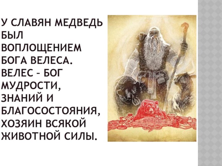 У славян медведь был воплощением Бога велеса. велес – бог мудрости, знаний