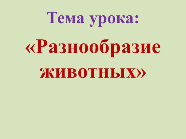 Тема урока:«Разнообразие животных»