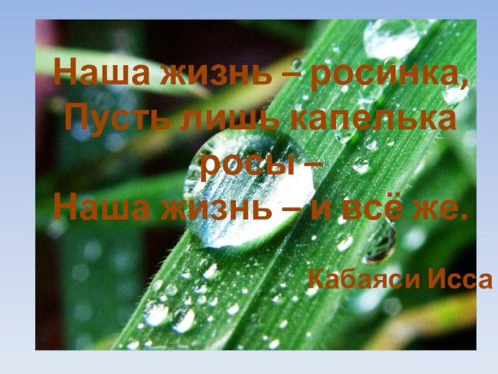 Наша жизнь – росинка,Пусть лишь капелька росы – Наша жизнь – и всё же.Кабаяси Исса