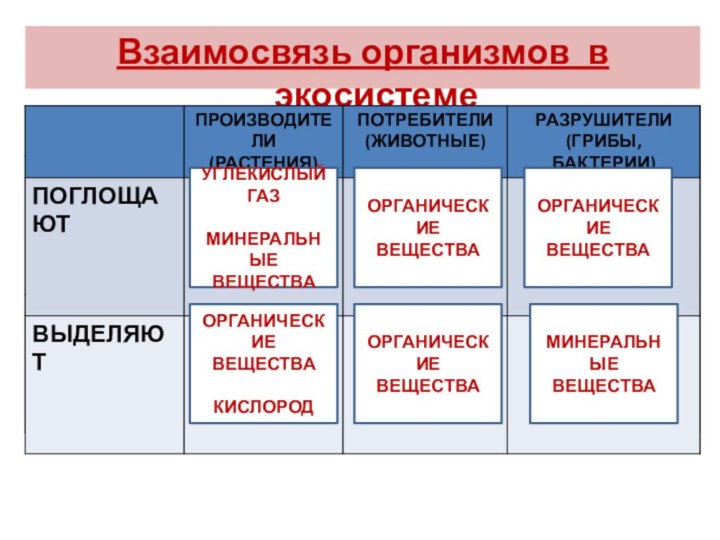 Взаимосвязь организмов в экосистемеУГЛЕКИСЛЫЙ ГАЗМИНЕРАЛЬНЫЕ ВЕЩЕСТВАОРГАНИЧЕСКИЕ ВЕЩЕСТВАОРГАНИЧЕСКИЕ ВЕЩЕСТВАОРГАНИЧЕСКИЕ ВЕЩЕСТВАКИСЛОРОДОРГАНИЧЕСКИЕ ВЕЩЕСТВАМИНЕРАЛЬНЫЕ ВЕЩЕСТВА