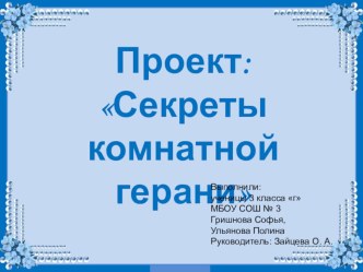 Презентация проекта Секреты комнатной герани