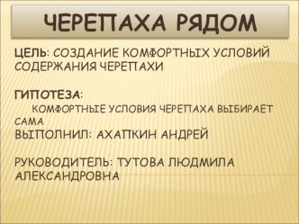 Презентация о черепахе, как результат внеурочной деятельности