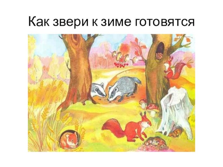 Как звери к зиме готовятся