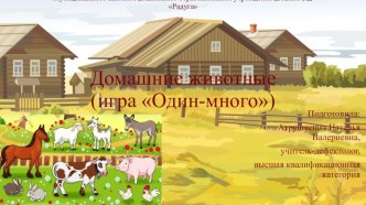 Презентация Домашние животные (игра один-много)