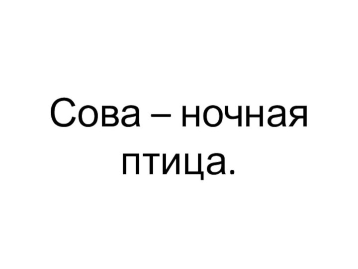 Сова – ночная птица.