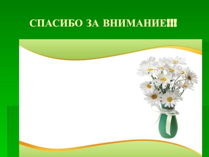 СПАСИБО ЗА ВНИМАНИЕ!!!В благодарность за вниманиеК презентации нашейДарим Вам от всей душиМы букет ромашек.В благодарность за вниманиеК пашейДарим Вам от всей душиМы букет ромашек.