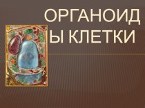 Презентация по биологии на тему Органоиды клетки