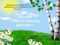 Проект для детей старшего дошкольного возраста Люблю березку русскую