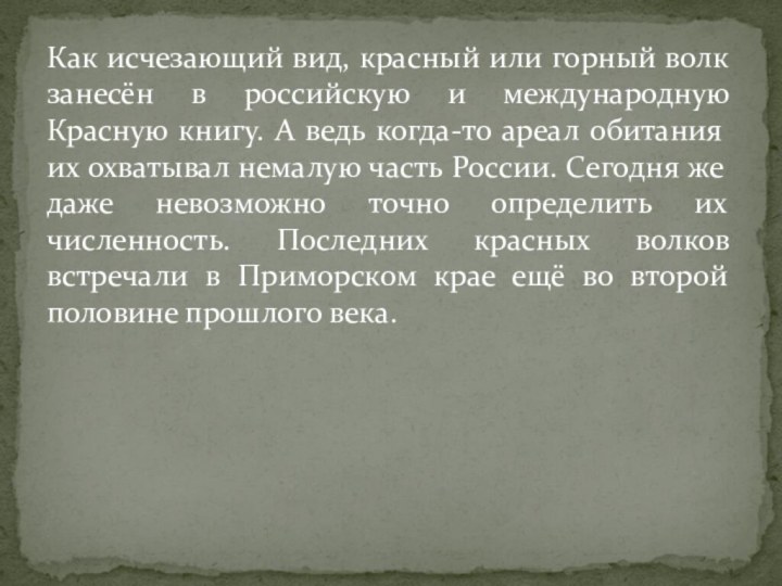 Как исчезающий вид, красный или горный волк занесён в российскую и международную