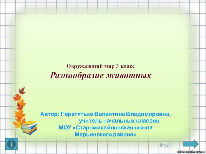 Автор: Перетятько Валентина Владимировна,