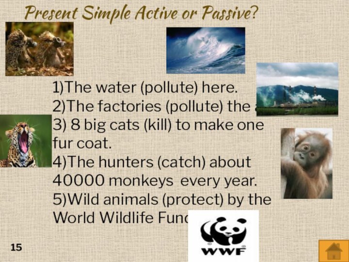 Present Simple Active or Passive?1)The water (pollute) here.2)The factories (pollute) the air.3)