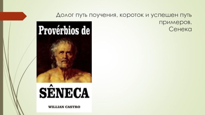 Долог путь поучения, короток и успешен путь примеров. Сенека
