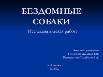 Презентация исследовательской работы по теме  Бездомные собаки