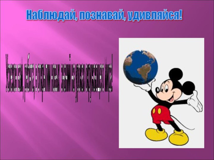 Наблюдай, познавай, удивляйся! Успехов вам, ребята, в открытии новых знаний на уроках окружающего мира!