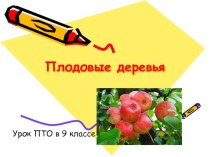 Презентация к уроку ПТО (сельскохозяйственный труд) 9 класс на тему Плодовые деревья