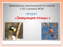 Презентация к проекту Зимующие птицы нашего края