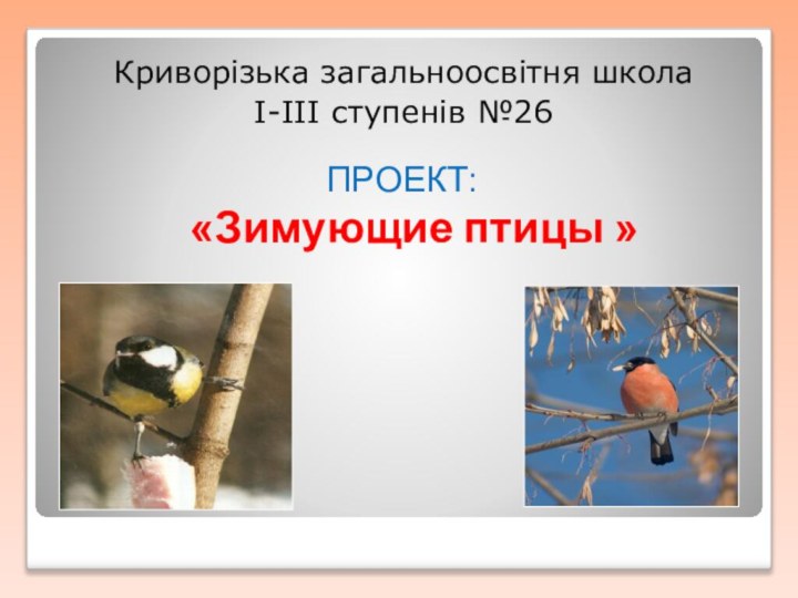 Криворізька загальноосвітня школа І-ІІІ ступенів №26