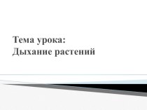 Презентация по биологии на тему Дыхание растений