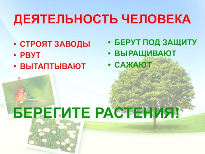 ДЕЯТЕЛЬНОСТЬ ЧЕЛОВЕКАСТРОЯТ ЗАВОДЫРВУТВЫТАПТЫВАЮТБЕРУТ ПОД ЗАЩИТУВЫРАЩИВАЮТСАЖАЮТБЕРЕГИТЕ РАСТЕНИЯ!