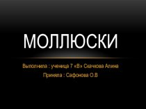 Презентация по биологии на тему Моллюски(7 класс)