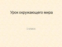 Презентация к уроку окружающего мира Домашние любимцы