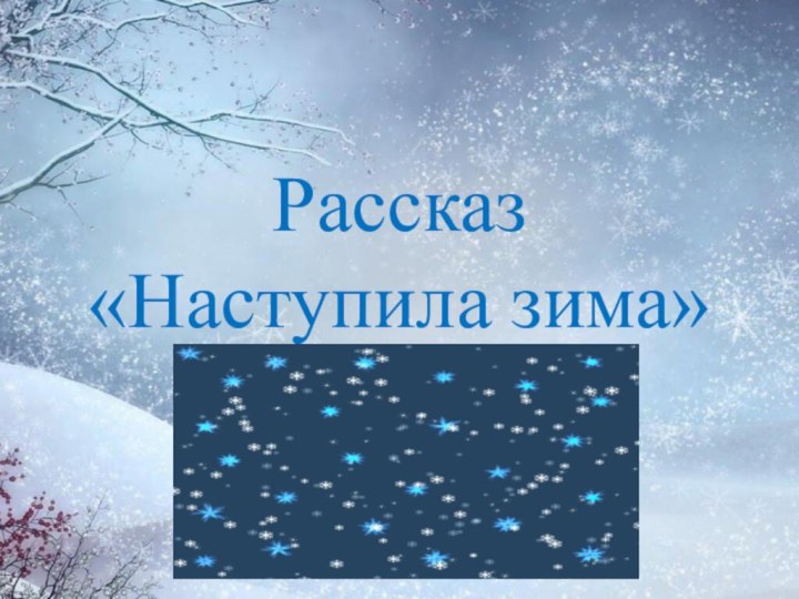 Рассказ  «Наступила зима»