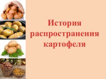 Презентация История распространения картофеля