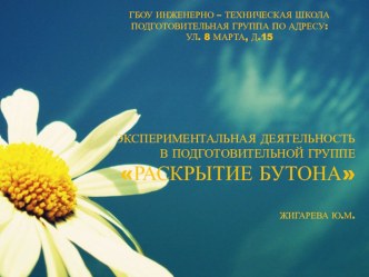 ЭКСПЕРИМЕНТАЛЬНАЯ ДЕЯТЕЛЬНОСТЬ В ПОДГОТОВИТЕЛЬНОЙ ГРУППЕ РАСКРЫТИЕ БУТОНА