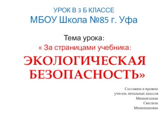 Презентация к уроку Экологическая безопасность